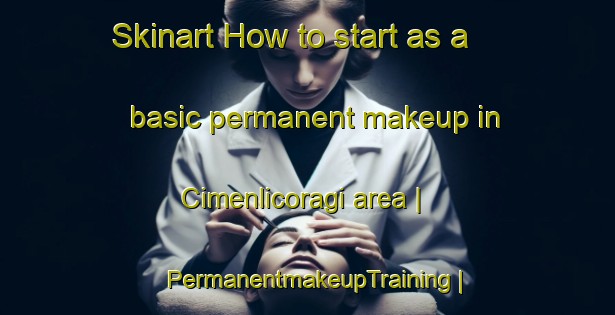 Skinart How to start as a basic permanent makeup in Cimenlicoragi area | PermanentmakeupTraining | PermanentmakeupClasses | SkinartTraining-Turkey
